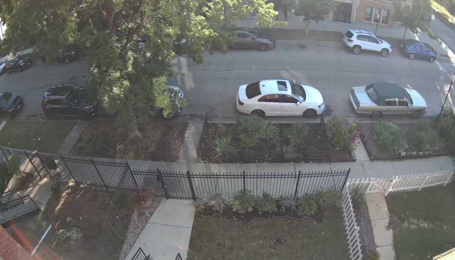 Reolink Camera Two_01_Reolink Home Hub One_20260918083748.jpg